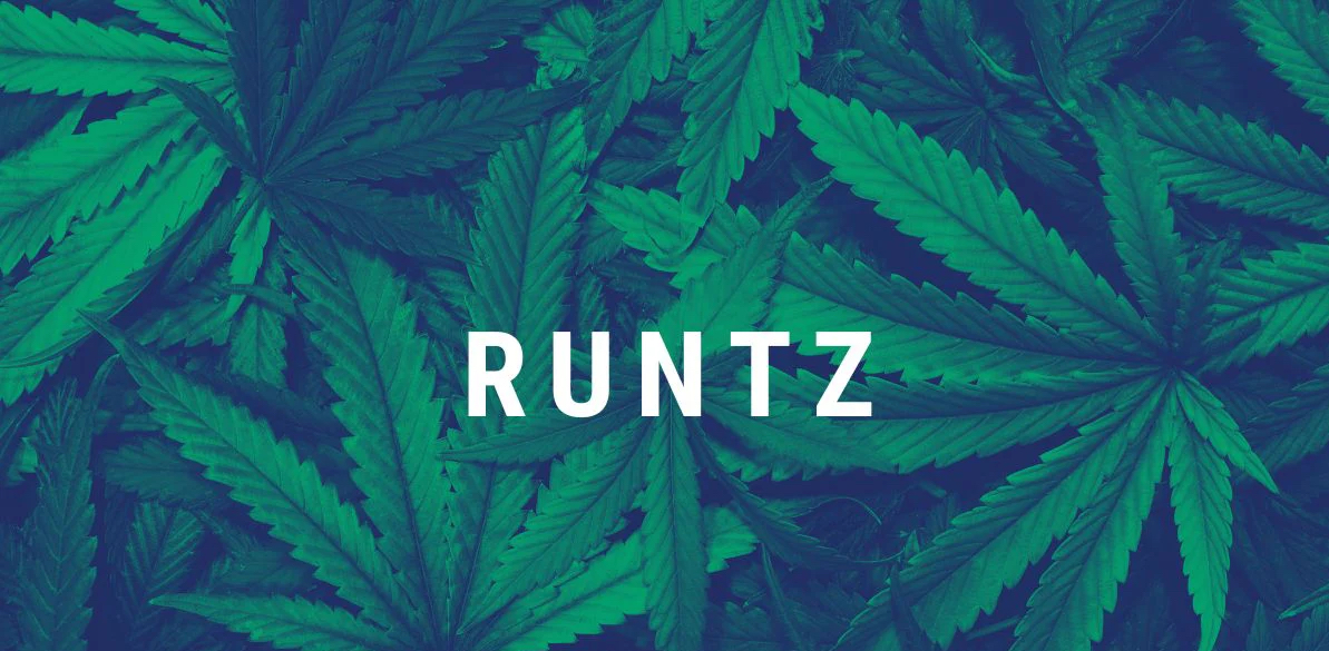 runtz strain